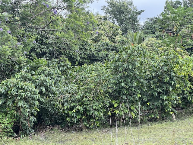 73-1391 Hiolani St, Kailua-Kona, HI 96740
