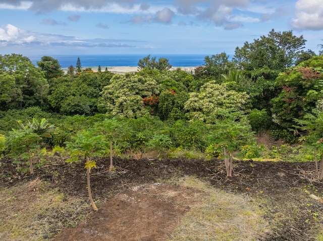 73-1391 Hiolani St, Kailua-Kona, HI 96740