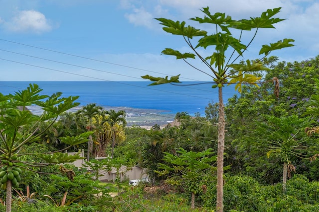 73-1391 Hiolani St, Kailua-Kona, HI 96740