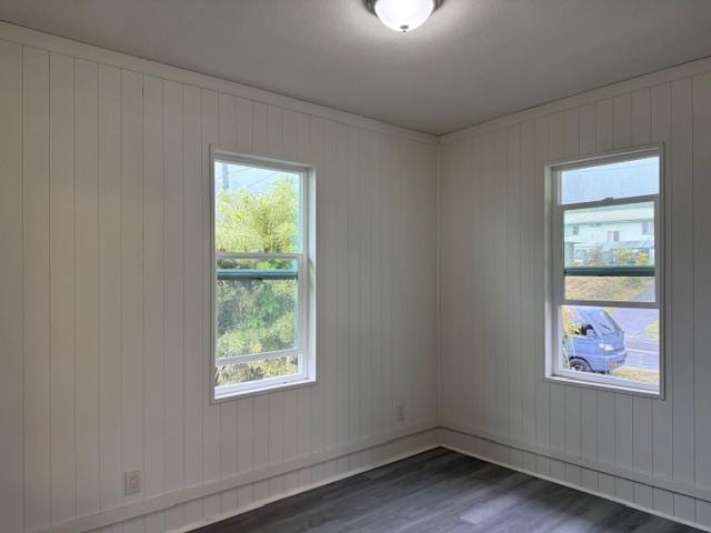 46-4180 Honokaa Waipio Rd, Honokaa, HI 96727 - unfurnished room with dark wood-style floors
