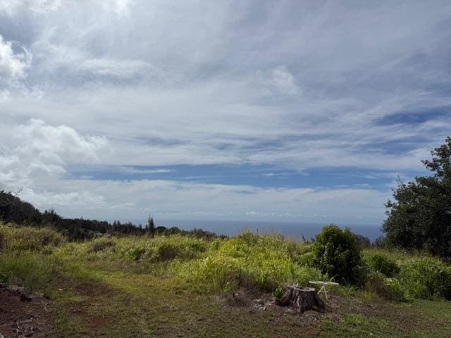 46-4180 Honokaa Waipio Rd, Honokaa, HI 96727 - view of nature