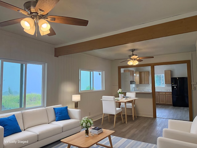 46-4180 Honokaa Waipio Rd, Honokaa, HI 96727 - photo 5