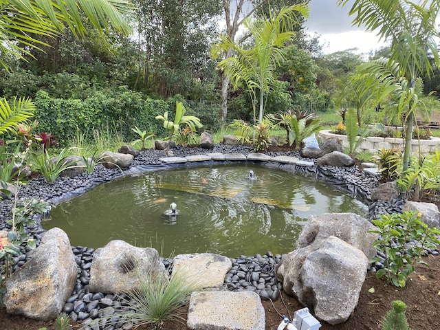 16-1321 Moho Rd, Mountain View, HI 96760 - photo 3