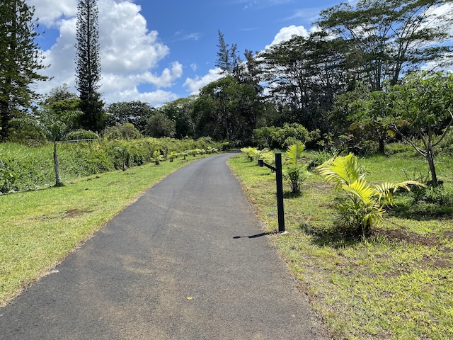 16-1321 Moho Rd, Mountain View, HI 96760 - photo 15