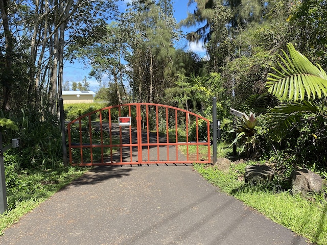 16-1321 Moho Rd, Mountain View, HI 96760 - photo 16
