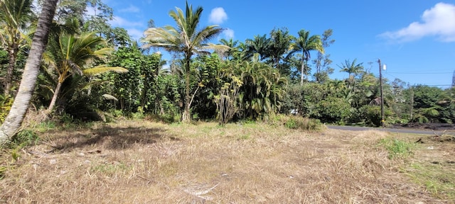 15-1890 31st Ave, Keaau, HI 96749 - photo 2