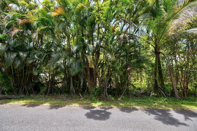 15-1890 31st Ave, Keaau, HI 96749 - photo 7