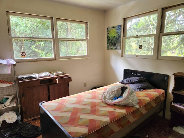 15-3089 Pahoa Kapoho Rd, Pahoa, HI 96778 - photo 7