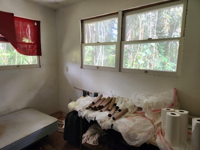 15-3089 Pahoa Kapoho Rd, Pahoa, HI 96778 - photo 11