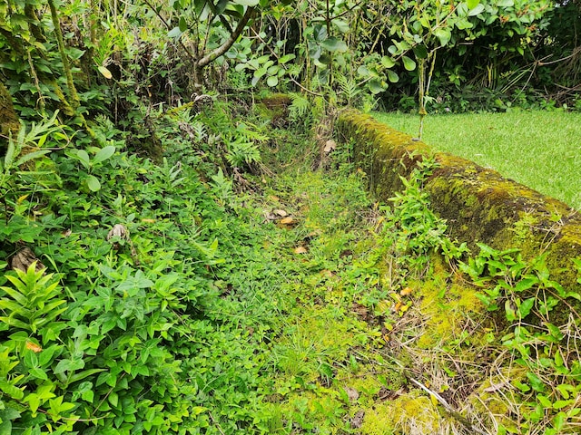 15-3089 Pahoa Kapoho Rd, Pahoa, HI 96778 - photo 17