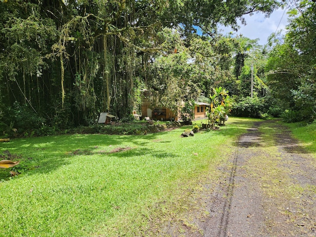 15-3089 Pahoa Kapoho Rd, Pahoa, HI 96778 - photo 13