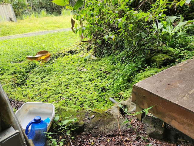 15-3089 Pahoa Kapoho Rd, Pahoa, HI 96778 - photo 15