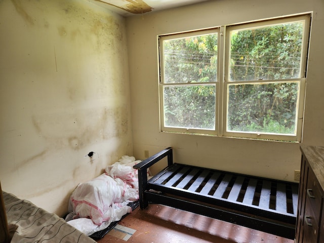 15-3089 Pahoa Kapoho Rd, Pahoa, HI 96778 - photo 8