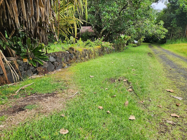 15-3089 Pahoa Kapoho Rd, Pahoa, HI 96778 - photo 12