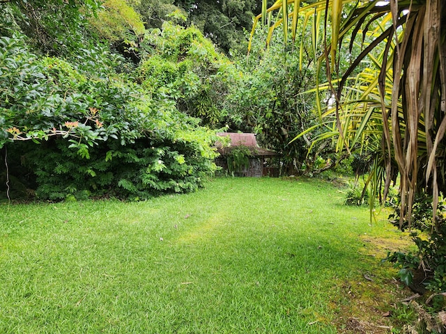 15-3089 Pahoa Kapoho Rd, Pahoa, HI 96778 - photo 24
