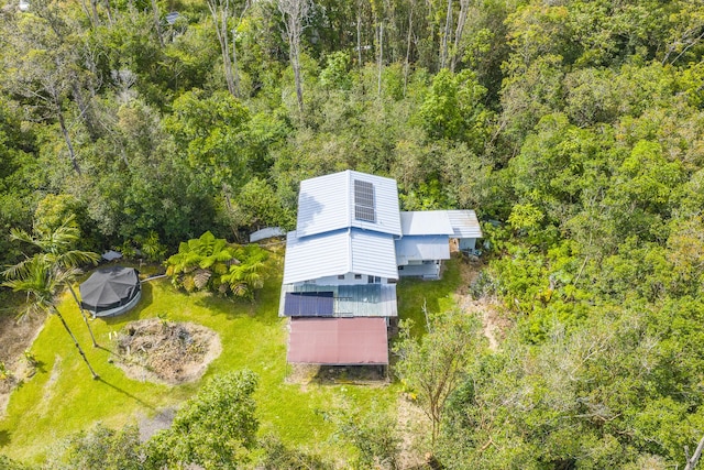 12-557 Hawaii St, Pahoa, HI 96778 - view of subject property with a heavily wooded area