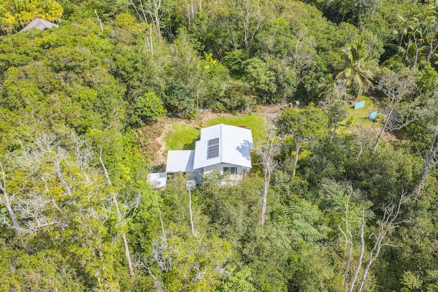 12-557 Hawaii St, Pahoa, HI 96778 - view of subject property featuring a heavily wooded area