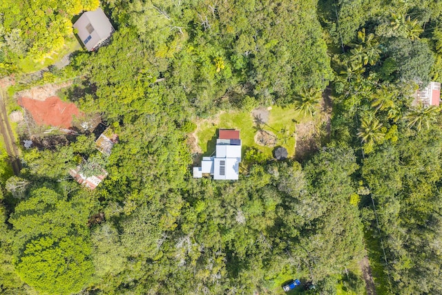12-557 Hawaii St, Pahoa, HI 96778 - drone / aerial view
