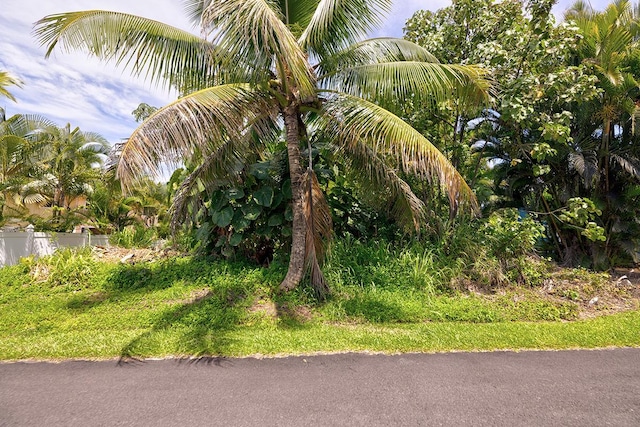 Alu Lepe St, Pahoa, HI 96778