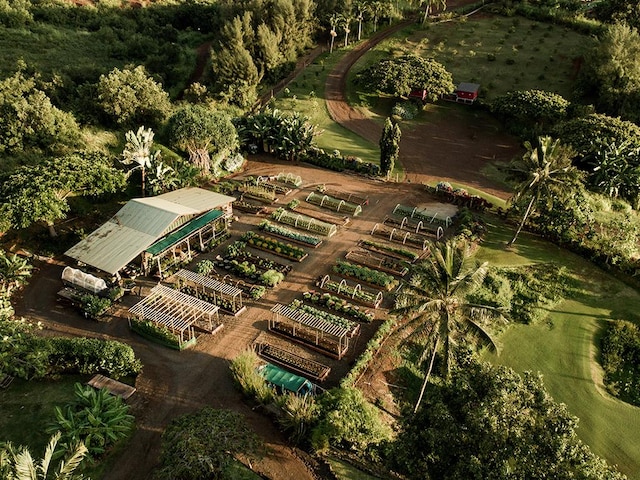 2970 Kahalawai St, Koloa, HI 96756 - photo 7