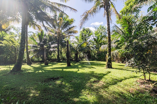 28-238 Akaka Falls Rd, Honomu, HI 96728 - view of grassy yard