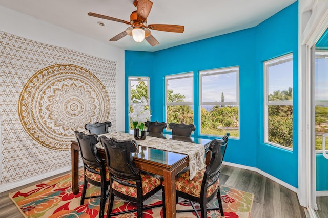 28-238 Akaka Falls Rd, Honomu, HI 96728 - dining room with plenty of natural light, wood finished floors, and ceiling fan