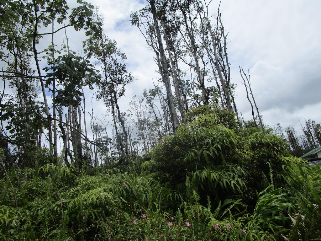 Bamboo Dr, Pahoa, HI 96778