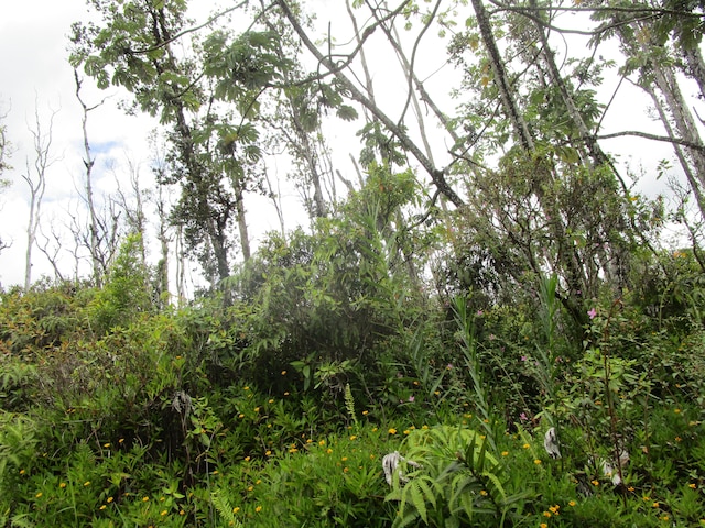 Bamboo Dr, Pahoa, HI 96778