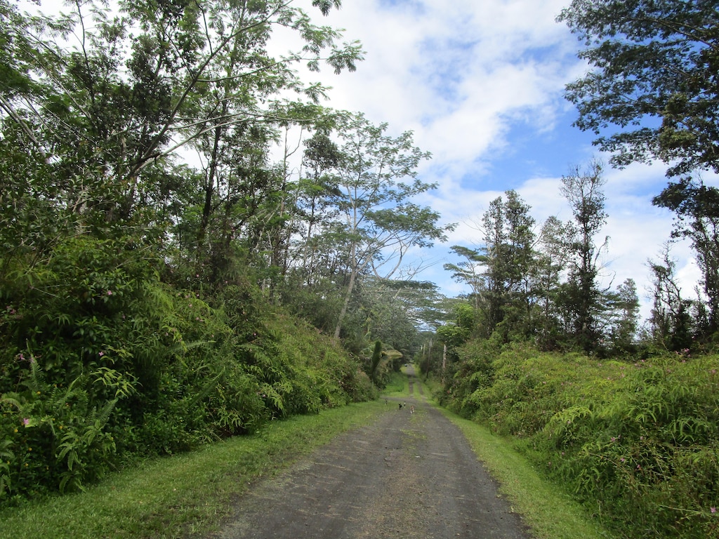 Lehua Rd, Pahoa, HI 96778