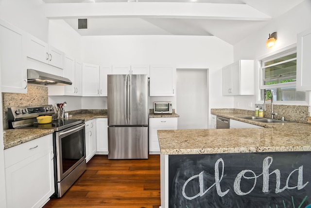 3795 Kelii Pl, Princeville, HI 96722 - kitchen featuring appliances with stainless steel finishes, range hood, dark wood-type flooring, white cabinets, and a peninsula
