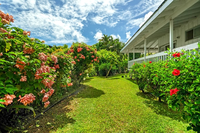 3795 Kelii Pl, Princeville, HI 96722 - view of green lawn
