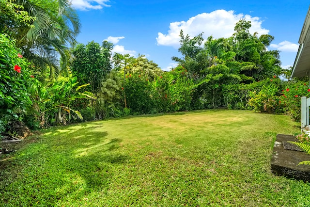 3795 Kelii Pl, Princeville, HI 96722 - view of green lawn