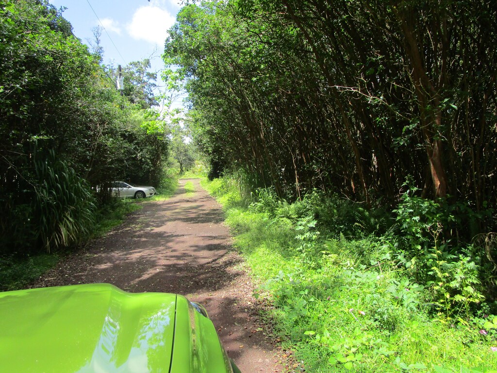 Lanai St, Pahoa, HI 96778 - photo 3