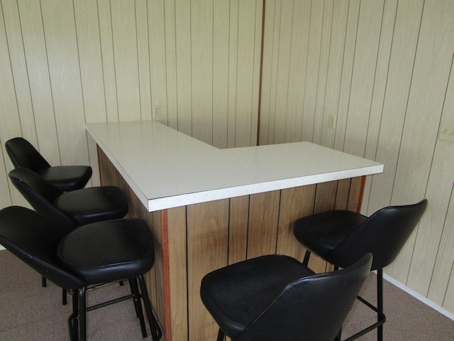 17-228 Volcano Rd, Kurtistown, HI 96749 - photo 12