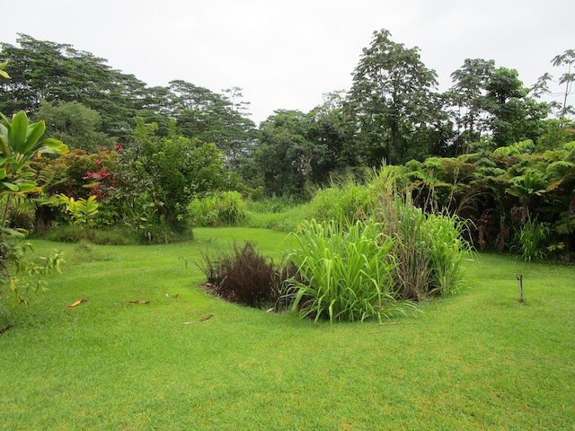 17-228 Volcano Rd, Kurtistown, HI 96749 - photo 15
