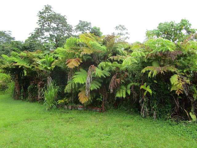 17-228 Volcano Rd, Kurtistown, HI 96749 - photo 16