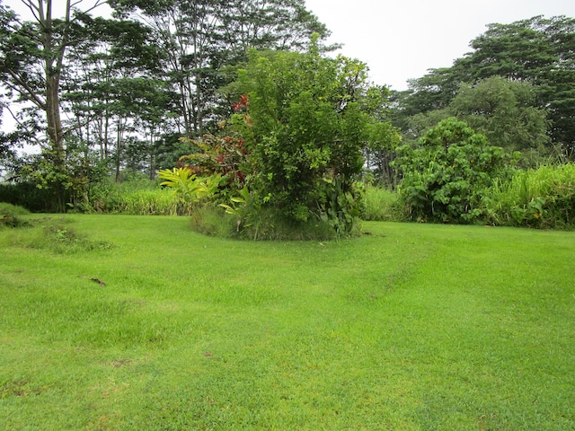 17-228 Volcano Rd, Kurtistown, HI 96749 - photo 18