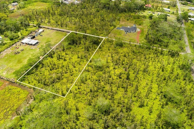35th Ave, Keaau, HI 96749