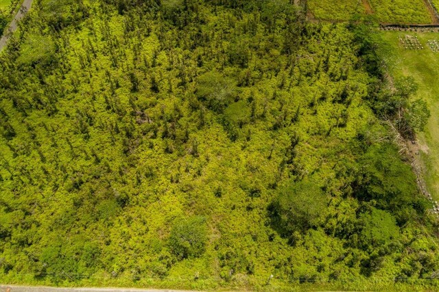 35th Ave, Keaau, HI 96749
