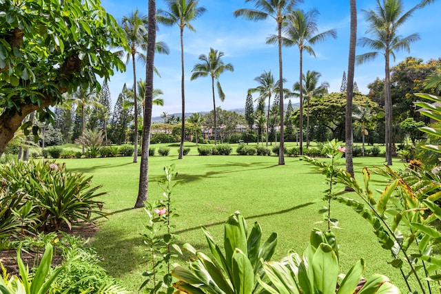 78-261 Manukai St Unit 801, Kailua-Kona, HI 96740 - photo 8