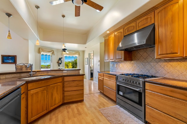 6201-B Kawaiihau Rd Unit B, Kapaa, HI 96746 - kitchen featuring range hood, stainless steel range, a ceiling fan, and dishwasher