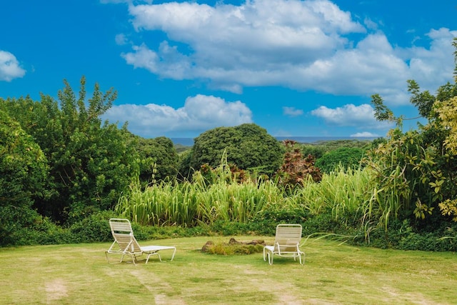 6201-B Kawaiihau Rd Unit B, Kapaa, HI 96746 - view of grassy yard