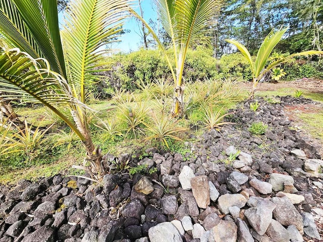 15-1735 9th Ave, Keaau, HI 96749 - photo 25