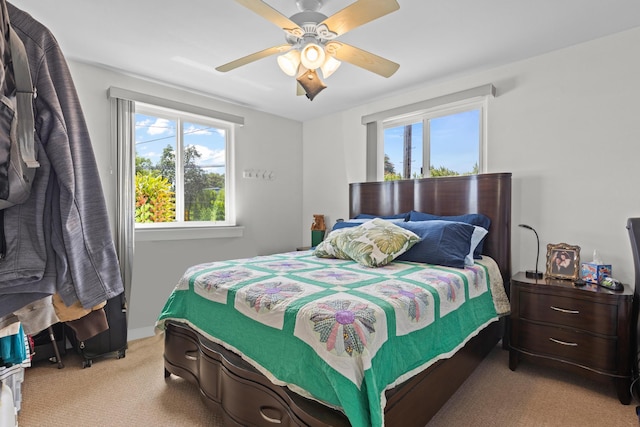 55-548 Hawi Rd, Hawi, HI 96719 - bedroom with multiple windows, carpet floors, and a ceiling fan
