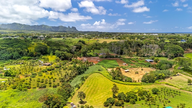 Unit 4C, Kapaa, HI 96746