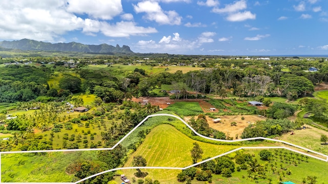 Unit 4C, Kapaa, HI 96746
