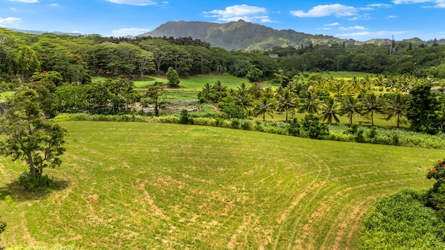 Unit 4C, Kapaa, HI 96746