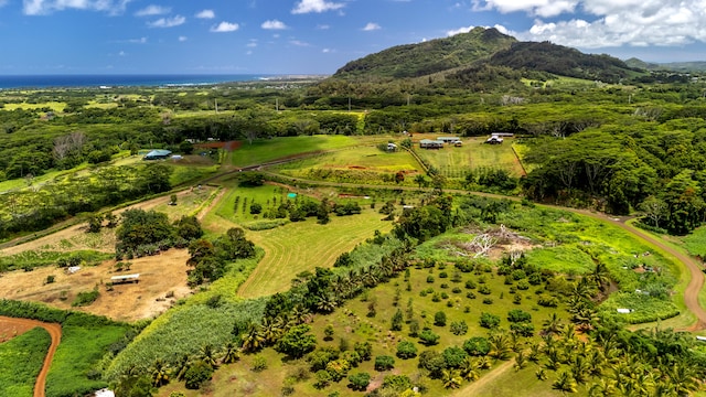 Unit 4C, Kapaa, HI 96746