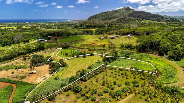 Unit 4C, Kapaa, HI 96746