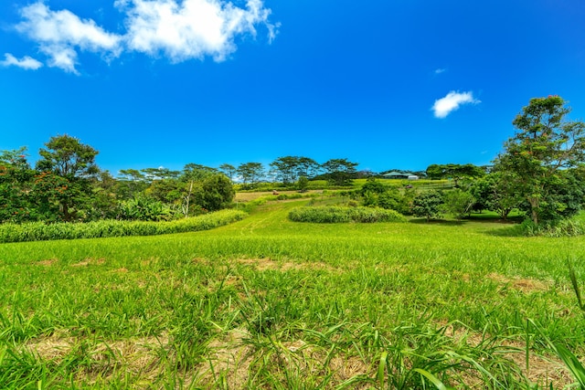 Unit 4C, Kapaa, HI 96746
